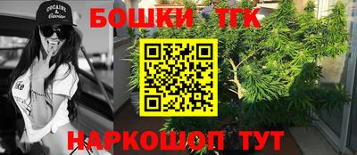 apvp Лесосибирск