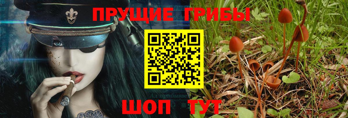 Химки  Галлюциногенные грибы Magic Shrooms  Вход с VPN  Галлюциногенные грибы мухоморы 