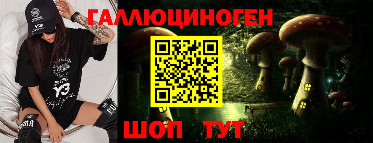 Псилоцибиновые грибы Cubensis Химки